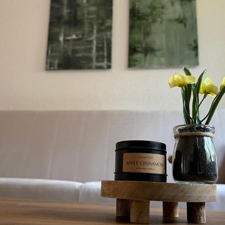 Bitterfelder Cityapartment Im Dichterviertel المظهر الخارجي الصورة